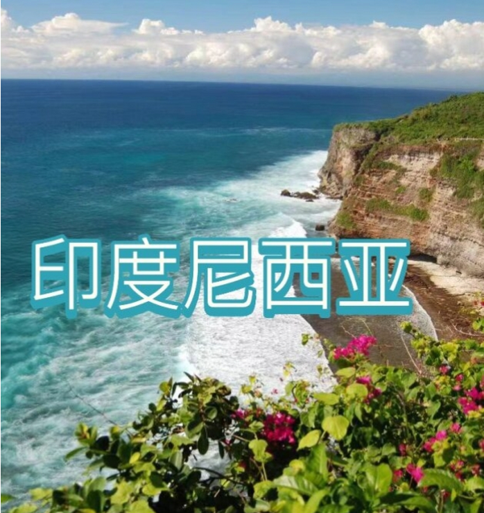 国国际电商(印尼)产业博览会pg电子娱乐平台2025中(图3)