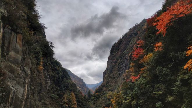 重庆旅游5日游十大必去景点+行程方案pg电子首页重庆旅游攻略带孩子自由行(图7)