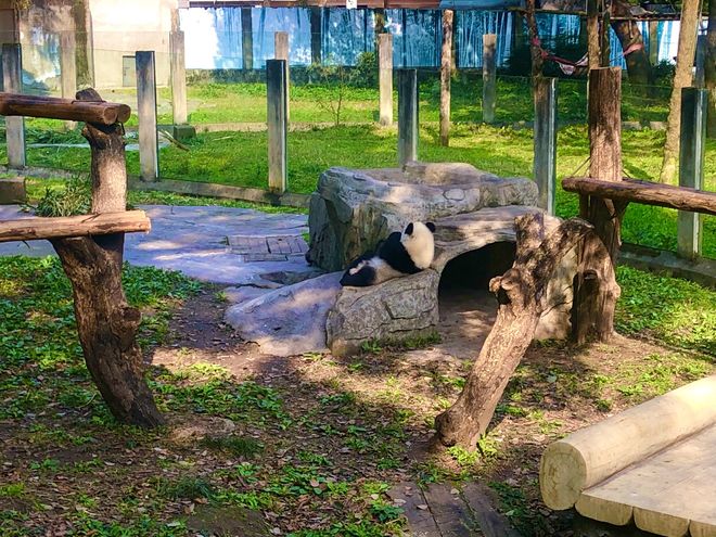 重庆旅游5日游十大必去景点+行程方案pg电子首页重庆旅游攻略带孩子自由行(图8)