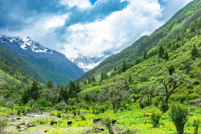 长穿毕徒步地理手册：沉浸式穿越神山秘境pg电子娱乐平台此生必走！收好四姑娘山(图9)