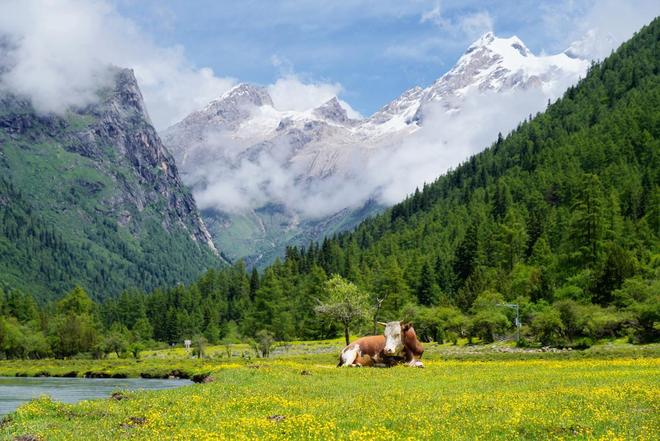 长穿毕徒步地理手册：沉浸式穿越神山秘境pg电子娱乐平台此生必走！收好四姑娘山(图23)